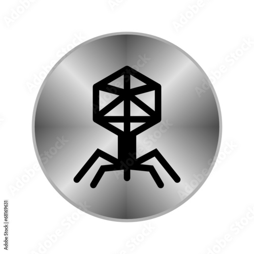 Chrome Icon
