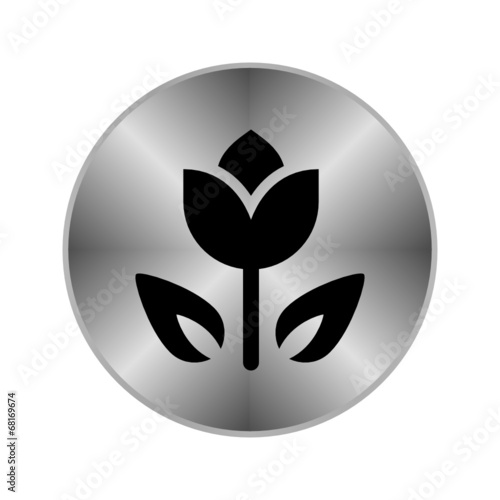 Chrome Icon
