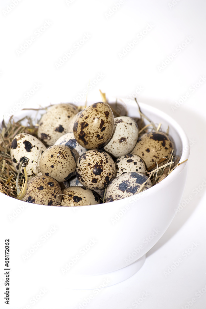 Obraz premium Quail eggs