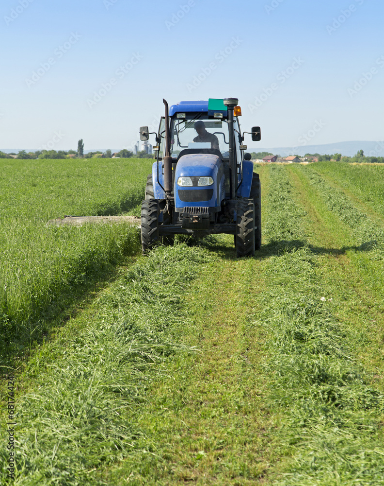 Mowing clover field with rotary cutter Mowing clover field with rotary cutter