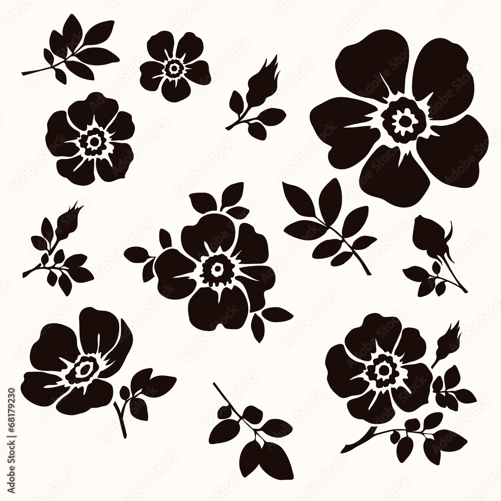 Obraz premium Flower decorative