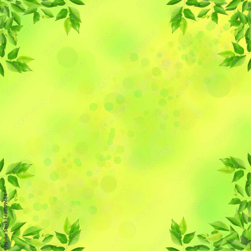 Frame of green leaves Frame of green leaves