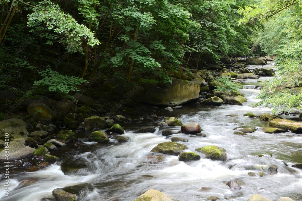 der Fluss Bode im Nationalpark Harz der Fluss Bode im Nationalpark Harz
