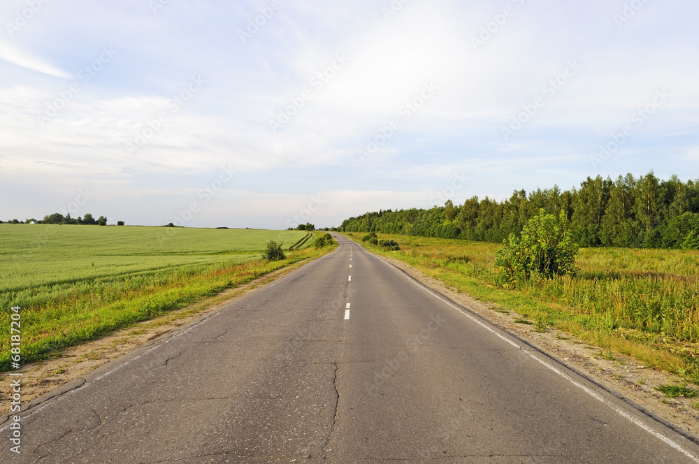 Asphalt road along the green fields