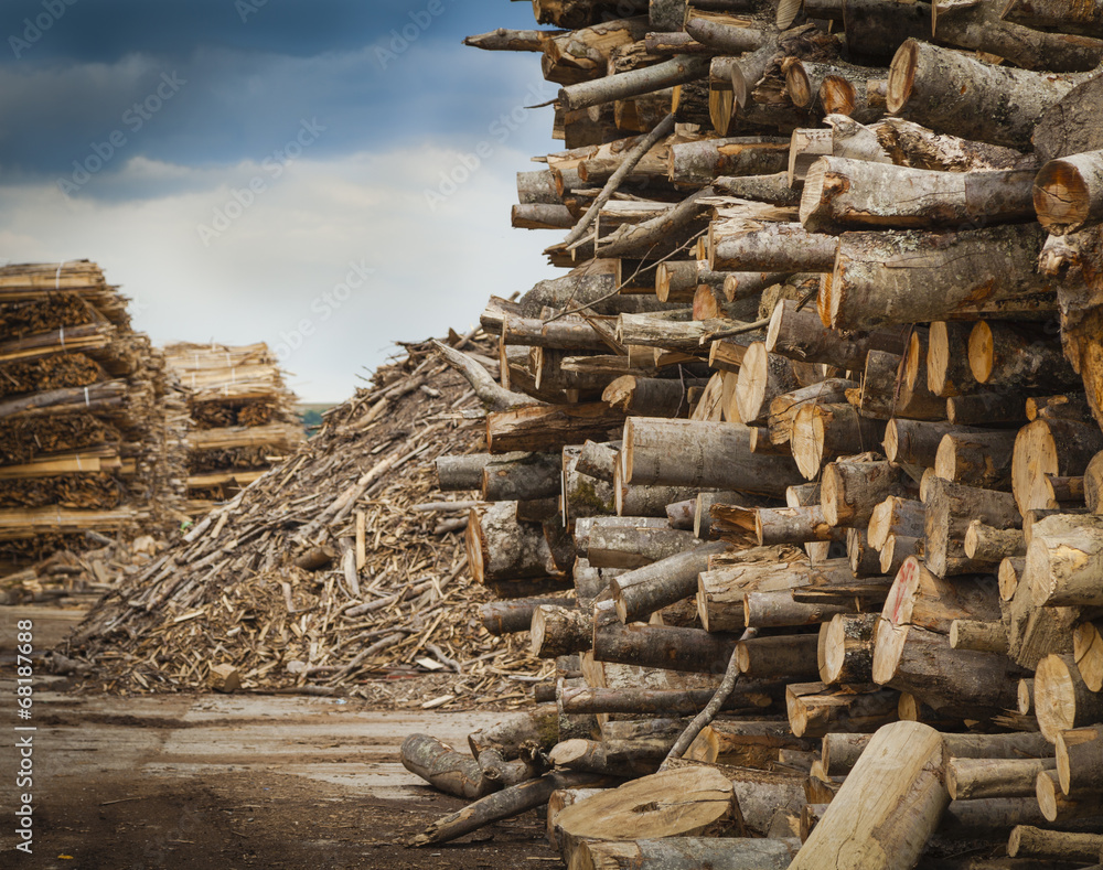 Industrial Timber Industrial Timber