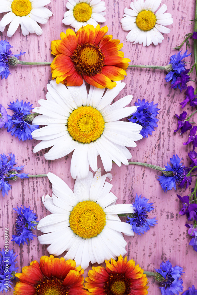 Obraz premium Beautiful wildflowers on wooden background