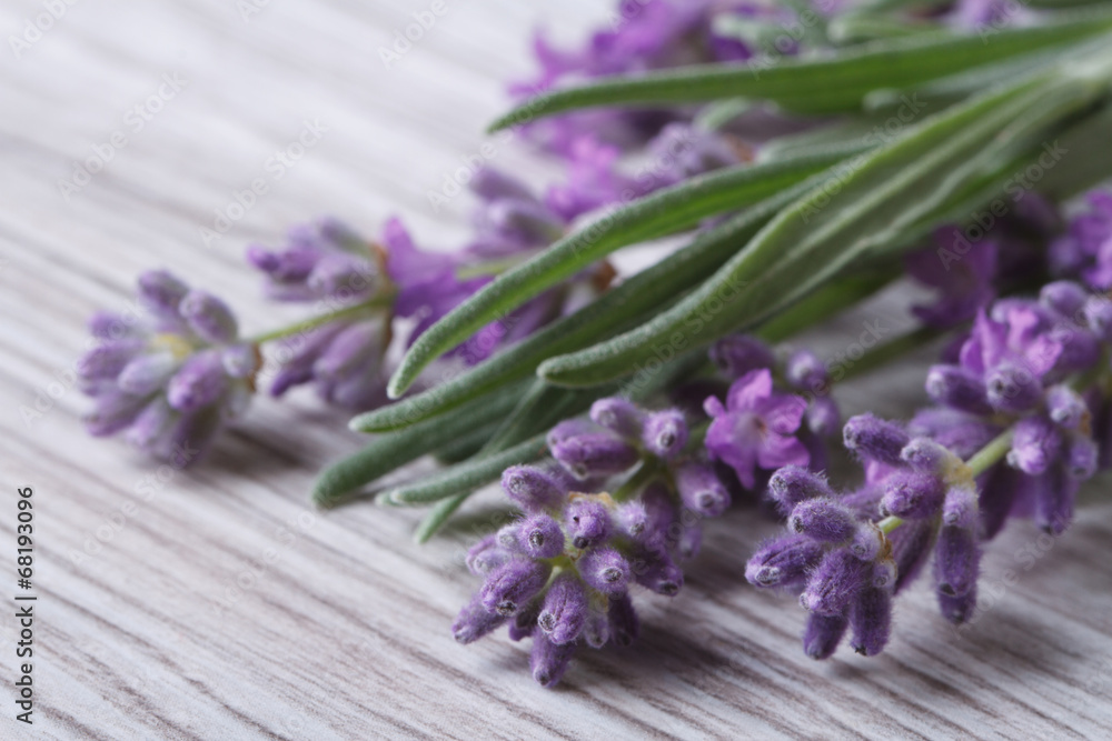 Naklejka premium bouquet of fragrant lavender flowers