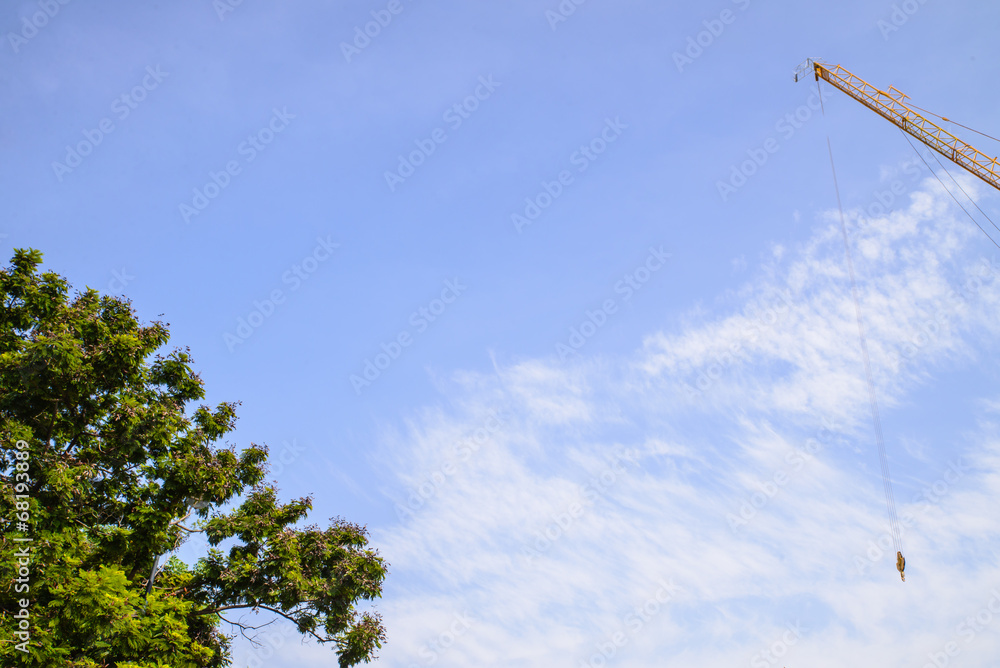 Blue sky and big tree and crane