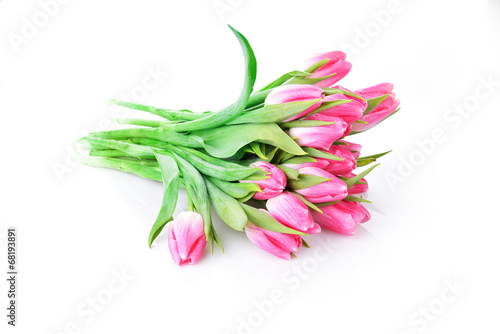 pink tulips