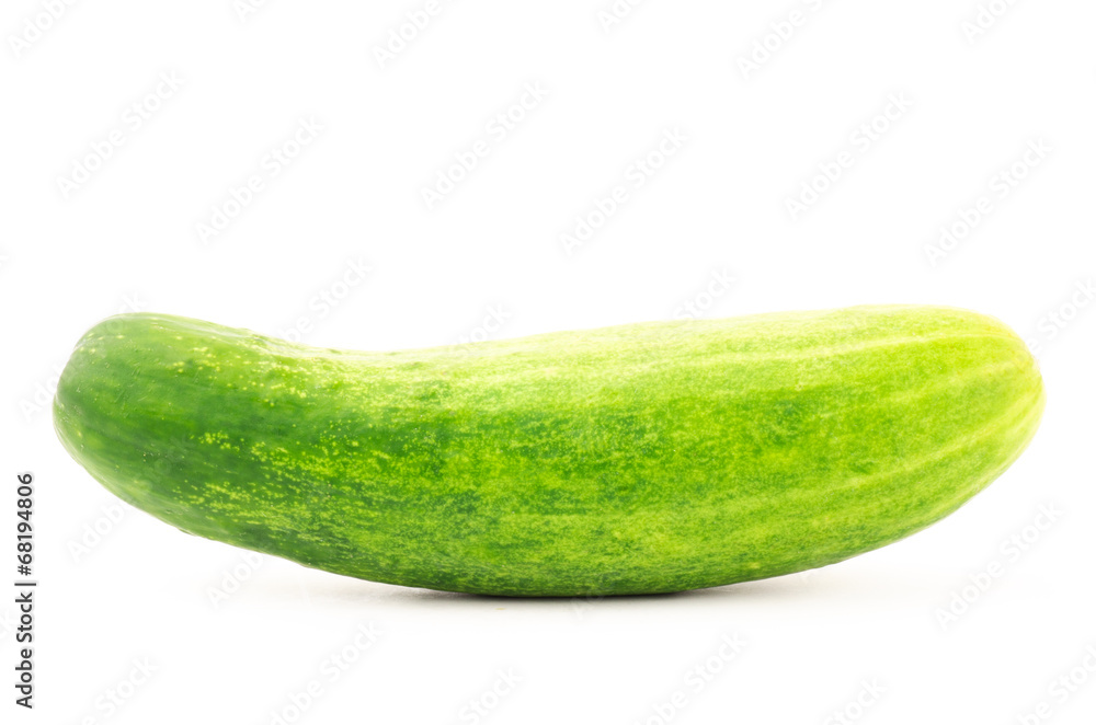 Fresh cucumber Fresh cucumber