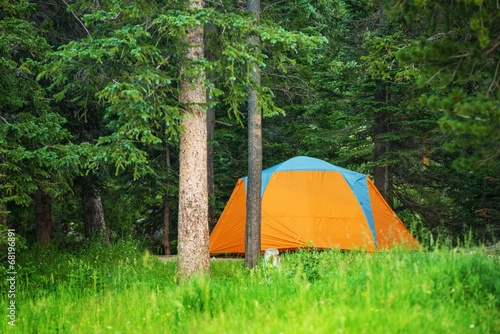 Forest Campground Tent