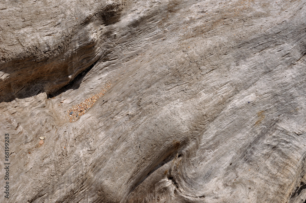 Obraz premium Wooden texture