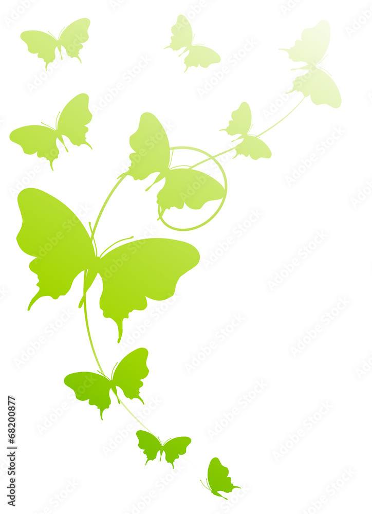 butterflies design butterflies design