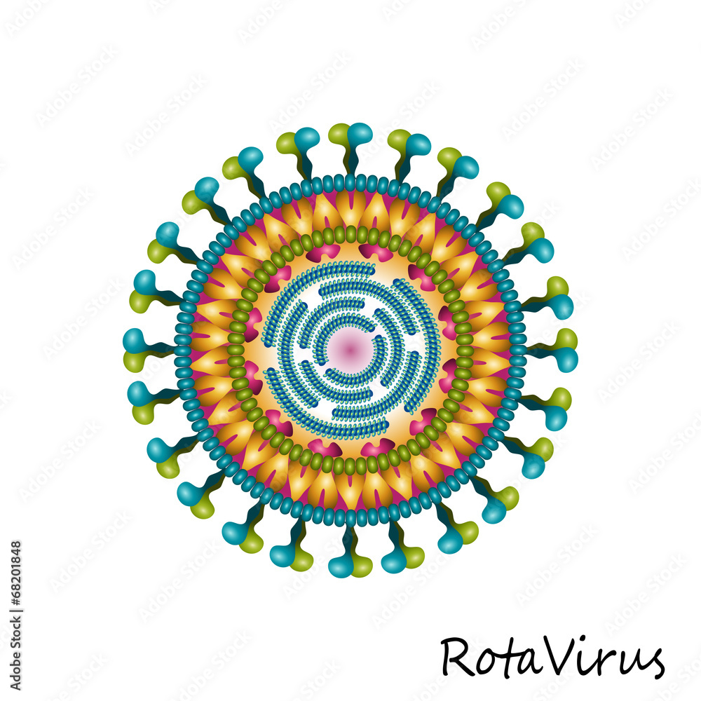 Rota virus particle structure