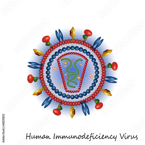 HIV virus particle structure