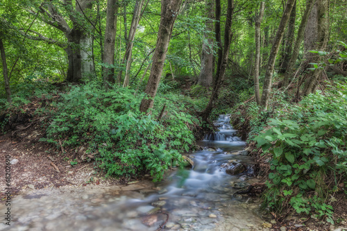 Ruscello nel bosco