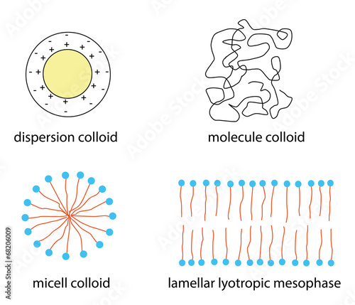 kinds of colloids