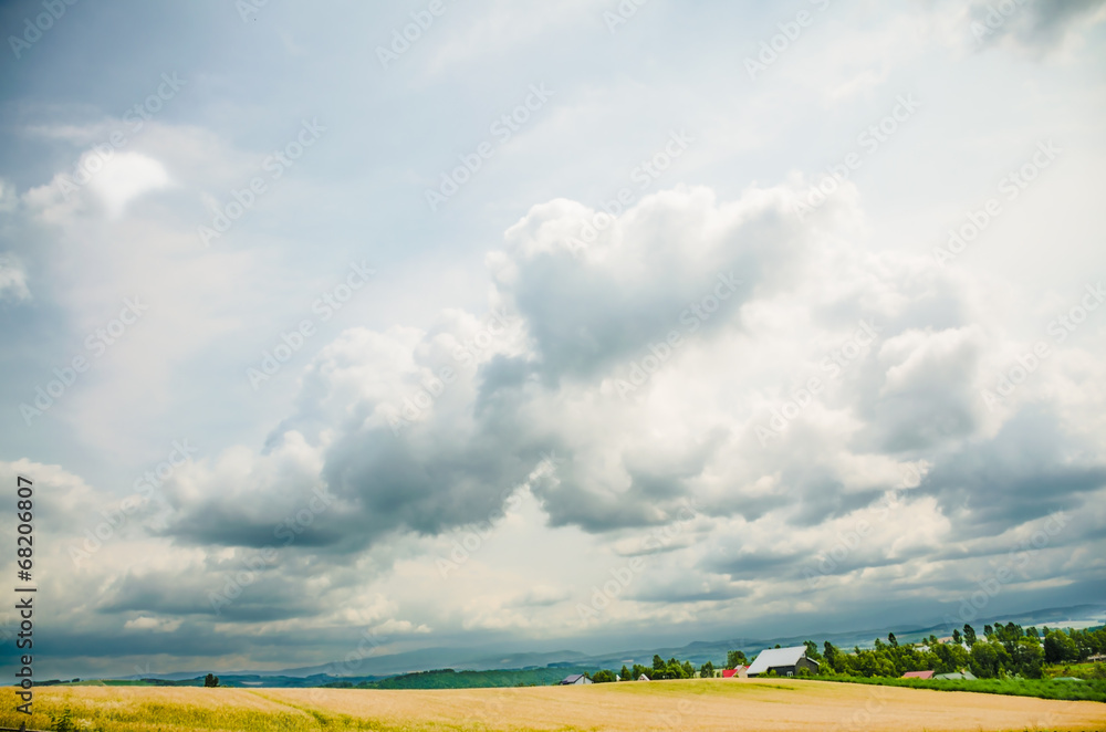 hokkaido country side landscape in cloudy day