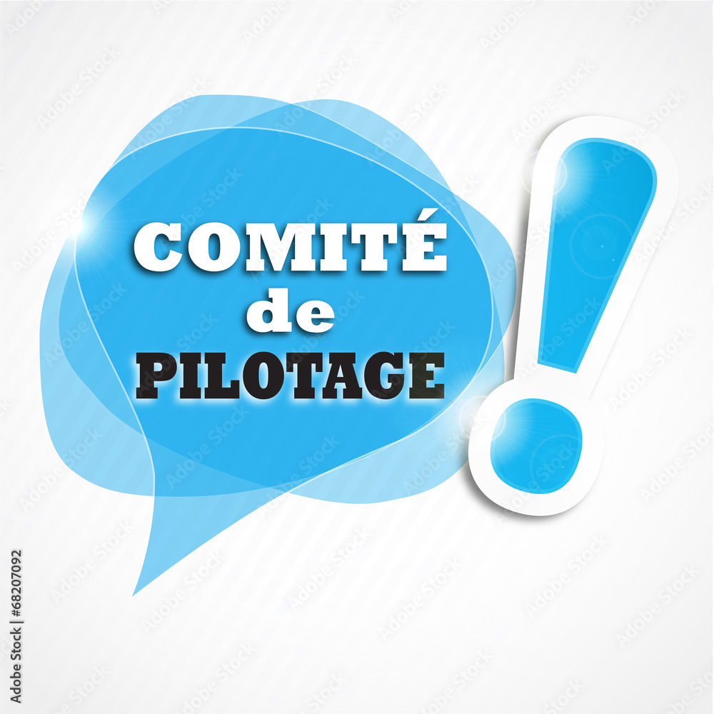 bulles trio : comité de pilotage (cs5)