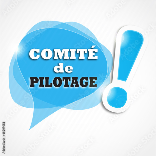bulles trio : comité de pilotage (cs5)