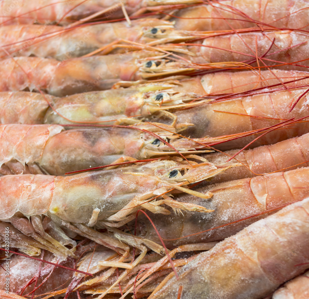 Close up of raw frozen Argentina red shrimps