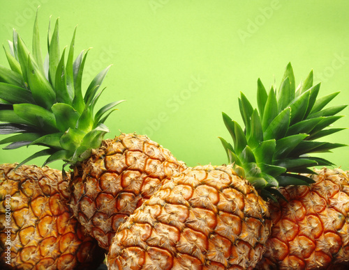 tropical pineapples