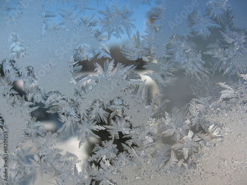 frozen winter window