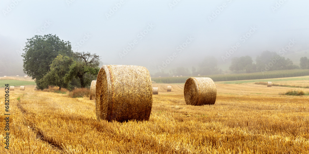 Hay Bales on a foggy morning