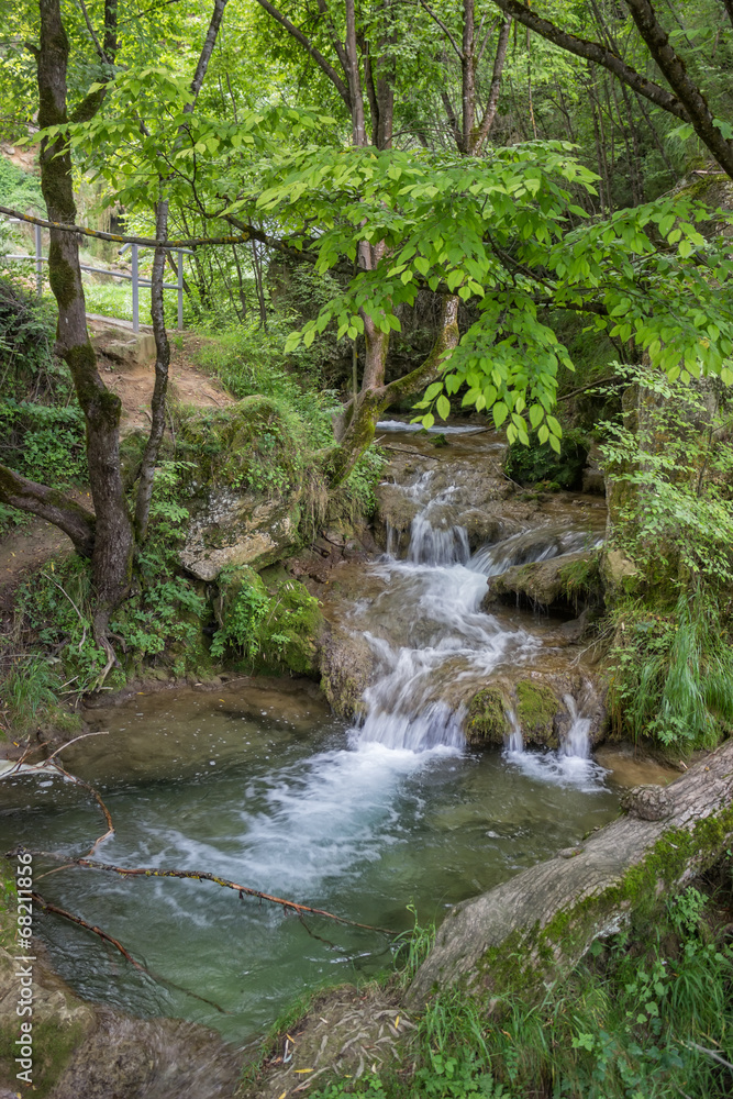 Mountain stream in the woods with clear cold water