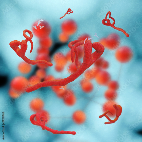 Ebola virus - 3d Render