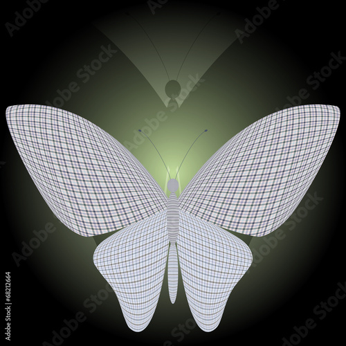 butterfly