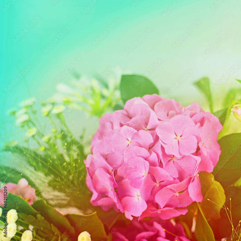 Beautiful hydrangea made with color filters - obrazy, fototapety, plakaty 