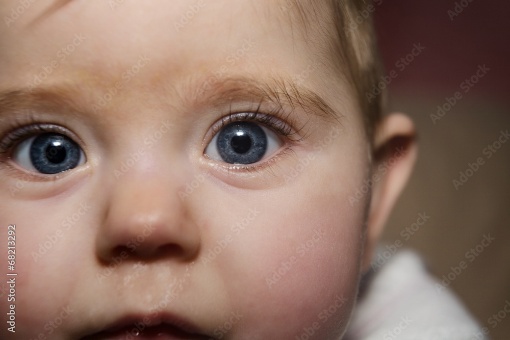 Portrait Portrait