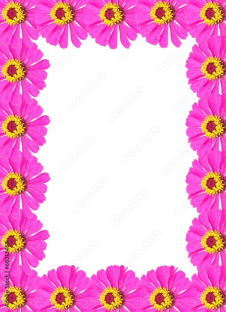 Frame from Pink Zinnia Flower Isolated on White Background Frame from Pink Zinnia Flower Isolated on White Background
