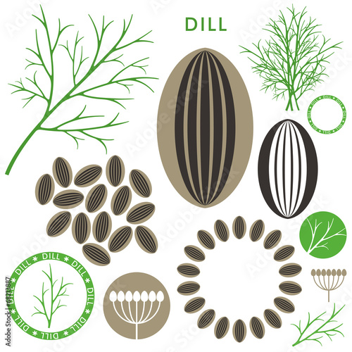 Dill