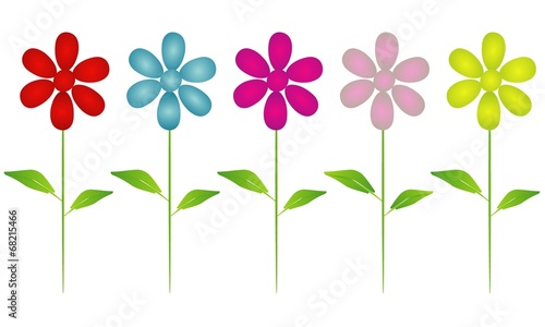 Fototapeta Naklejka Na Ścianę i Meble -  Fünf einfarbige Blumen