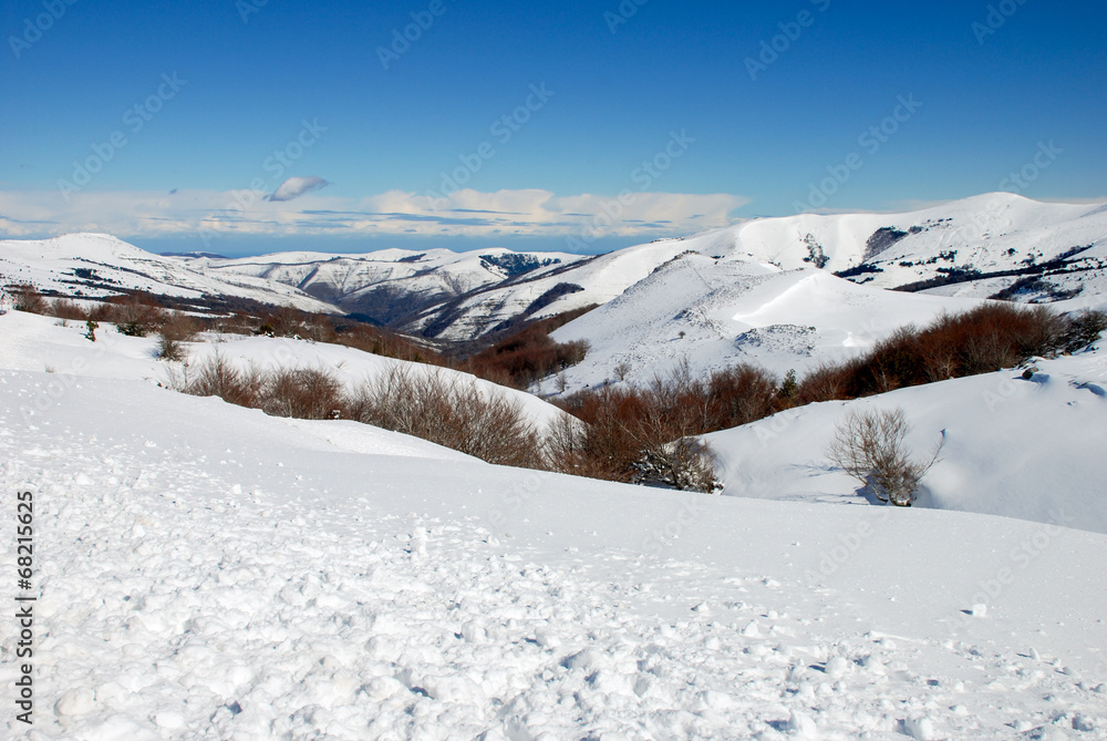 snowy Landscape