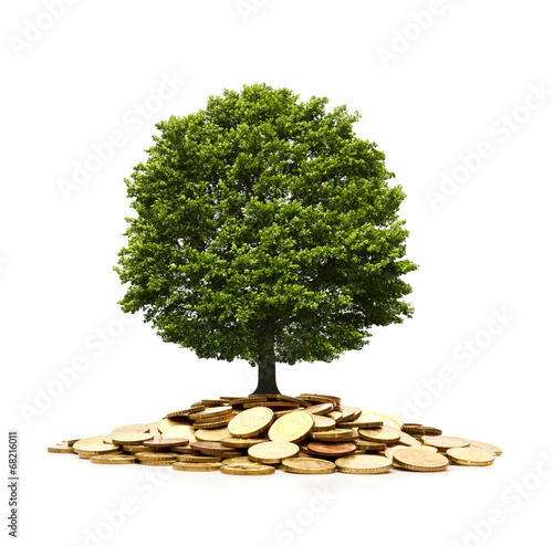 Baum auf Münzen