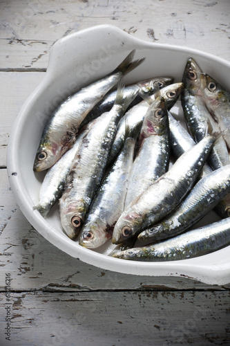 sardines on enamelled tray on rustic background