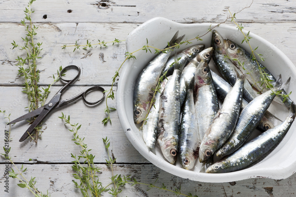 sardines on dish with thyme on rustic background sardines on dish with thyme on rustic background