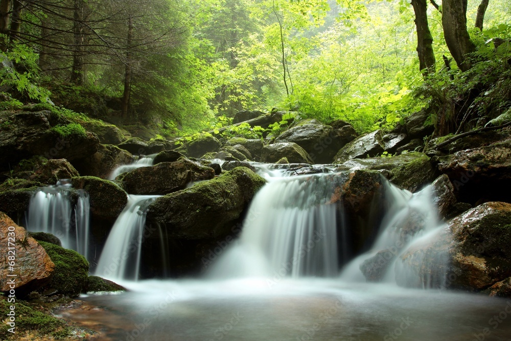 Stream flowing through the forest in the valley, Czech Republic Stream flowing through the forest in the valley, Czech Republic