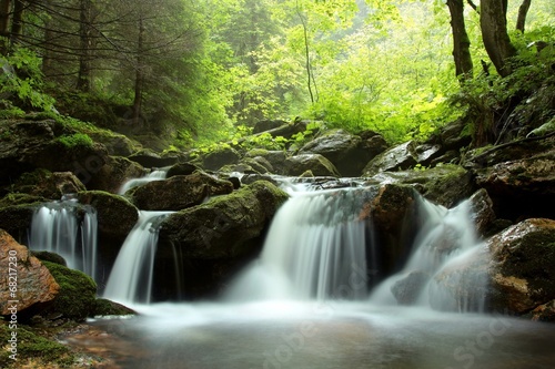 Fototapeta Naklejka Na Ścianę i Meble -  Stream flowing through the forest in the valley, Czech Republic
