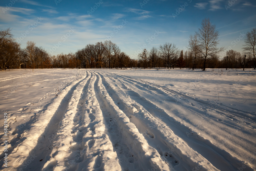 Fototapeta premium Winter landscape, trees covered in snow