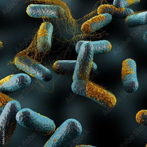 Clostridium Perfringens Bacteria photo