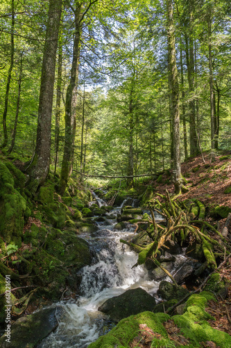 ruisseau de montagne