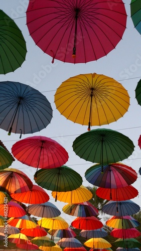 Bright umbrellas
