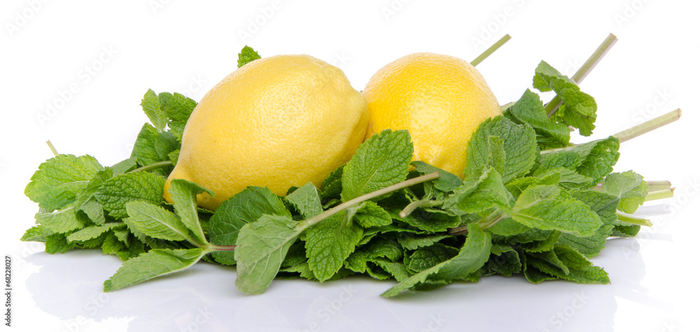 Two lemons on a bed of fresh mint