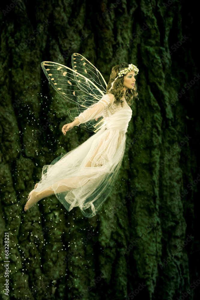 Flying fairy - obrazy, fototapety, plakaty 