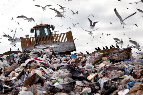 Landfill with birds photo