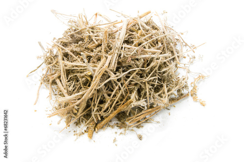 Dried Herbs,Artemisia annua L. on white background photo